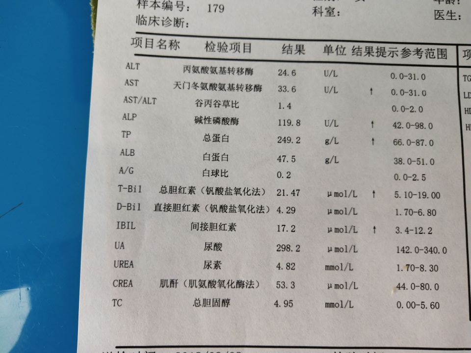 老师检验报告单总蛋白2492参考范围66087