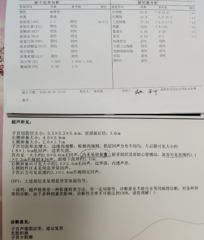 今天去医院检查,发现停经了42天,结果是已怀孕,能知道